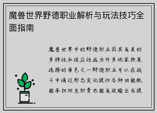 魔兽世界野德职业解析与玩法技巧全面指南